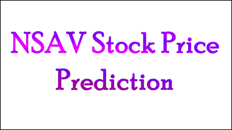 nsav stock price prediction