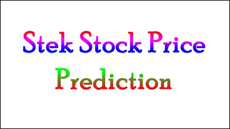 Stek Stock Price Prediction